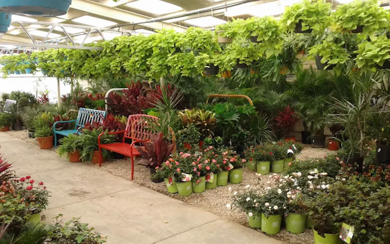 Panhandle Greenhouses — Garden center