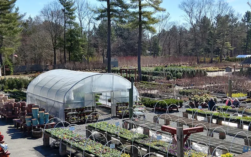 New England Nurseries Inc — Garden center