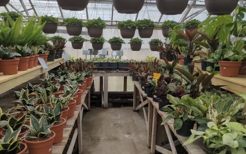 Thompson Brothers Green House — Garden center
