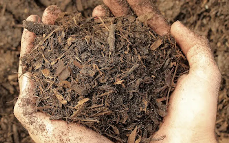 Ringer's More than Mulch Landscaping Supply — Landscaping supply store
