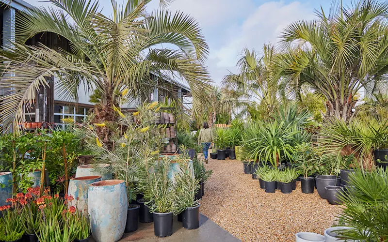 Flora Grubb Gardens - SF — Garden center