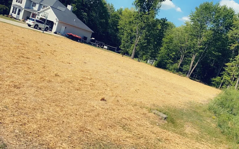 DR Landscaping and Excavating — Excavating contractor