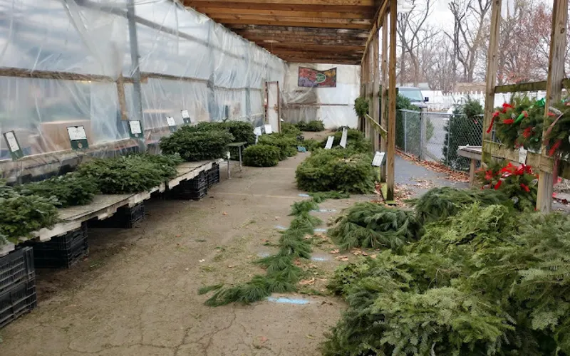 Beck's Flower Shop & Gardens — Garden center