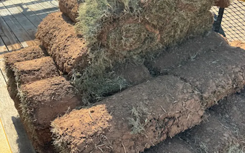 Enterprise Sod Store — Sod supplier