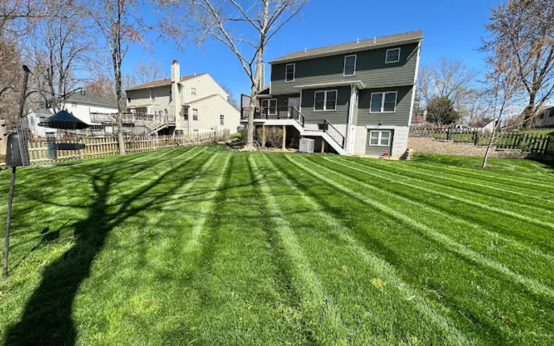 Bliss Lawn and Landscape LLC — Landscaper