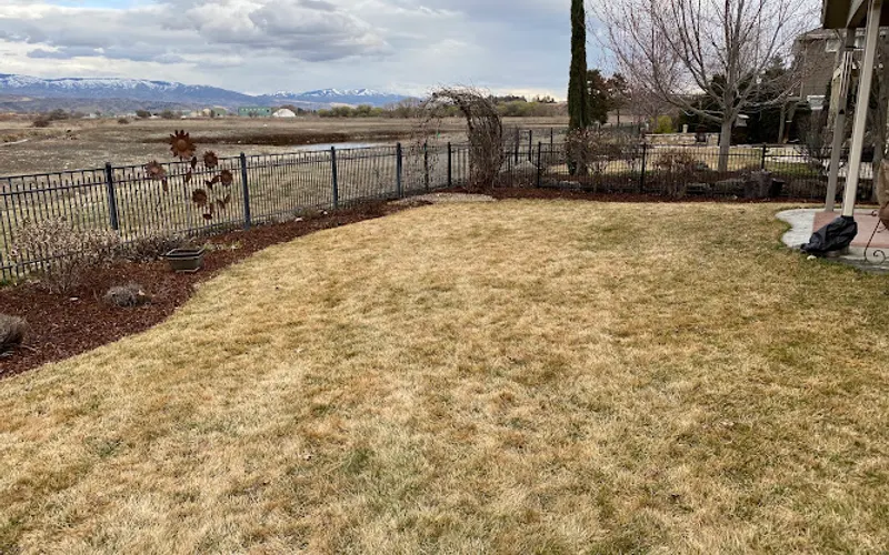Chamberlain & Sons Landscaping — Landscaper