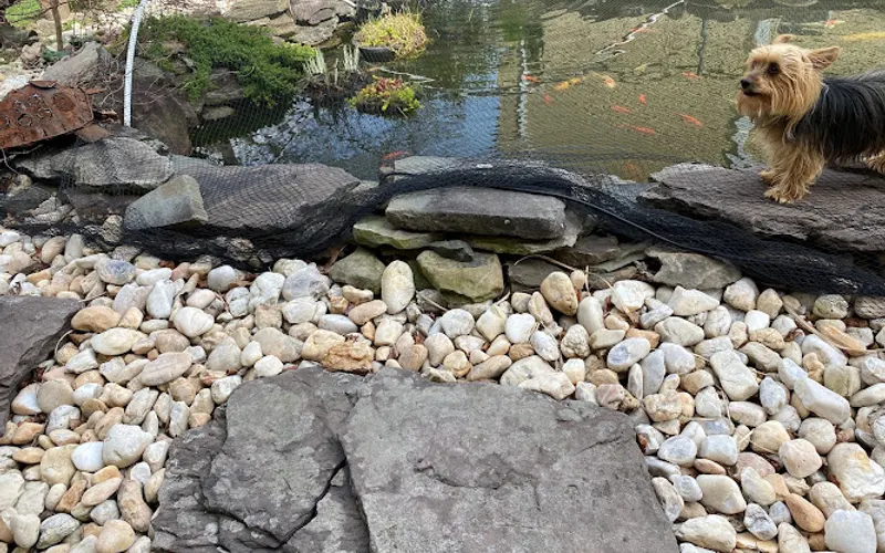 Hammett's Landscaping & Garden Center — Garden center
