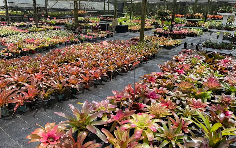 Blooming Freedom Inc — Landscaping supply store
