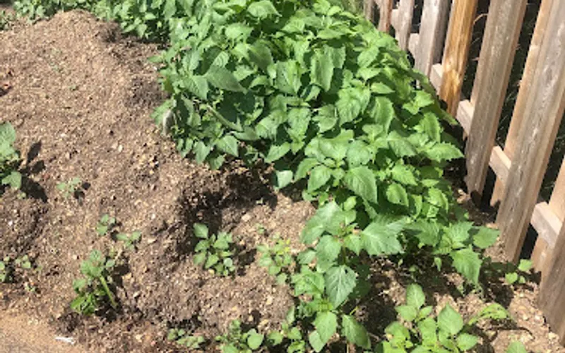 Sugar Hollow Farms — Landscaping supply store