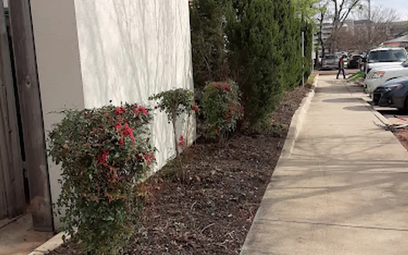 The Landscape Partners — Landscaper