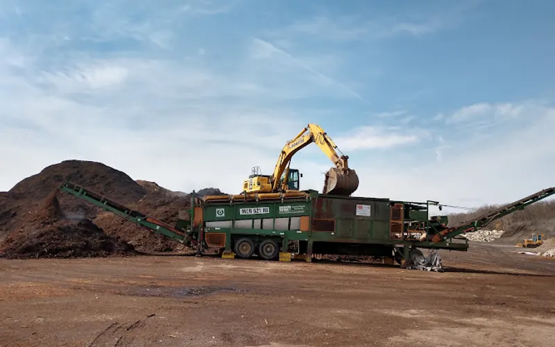 Environmental Wood Solutions — Environment renewable natural resources