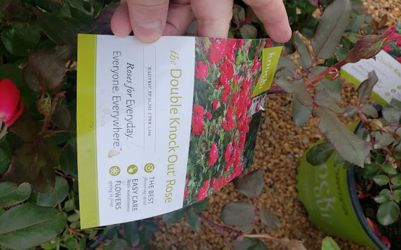Garden Shack — Garden center