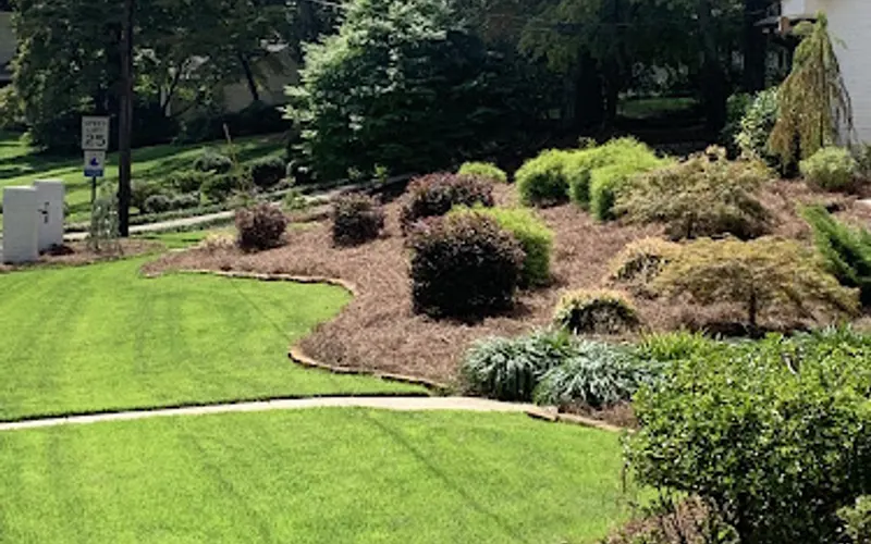 The Pinestraw Company — Landscaper