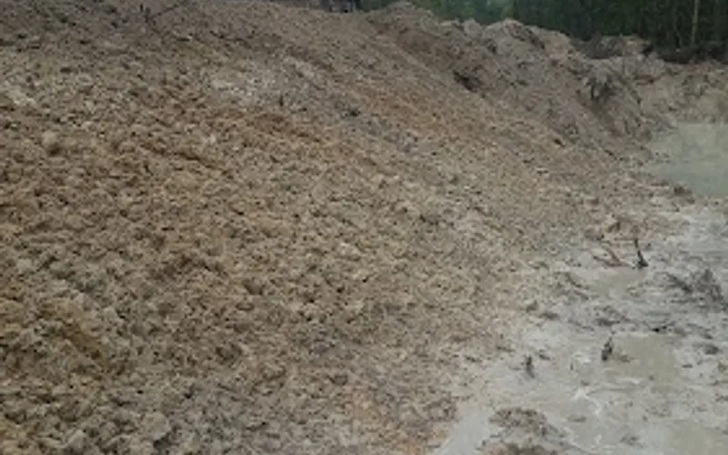 Diamond Tree Care — Sand & gravel supplier