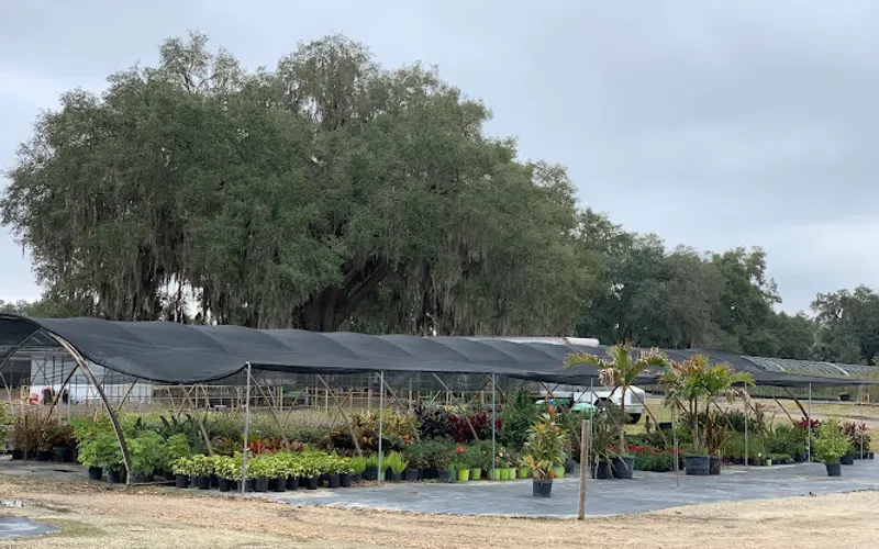 Naty's Garden Inc. — Garden center