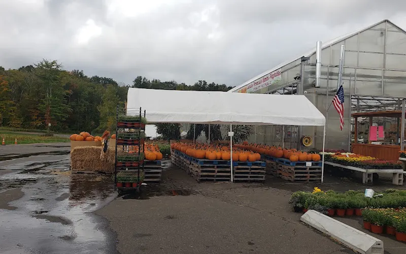 JC Farm and Greenhouses LLC — Produce market