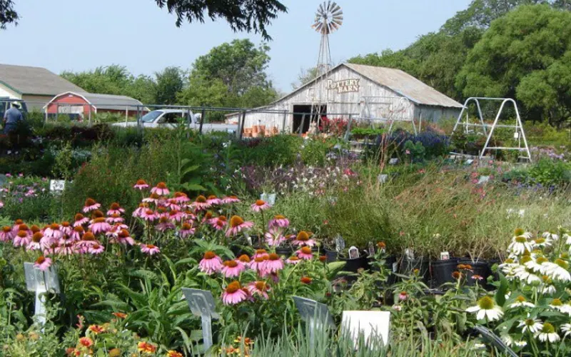 Shades of Green Nursery + Landscape — Garden center