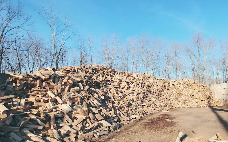 Scheetz Tree Service — Tree service