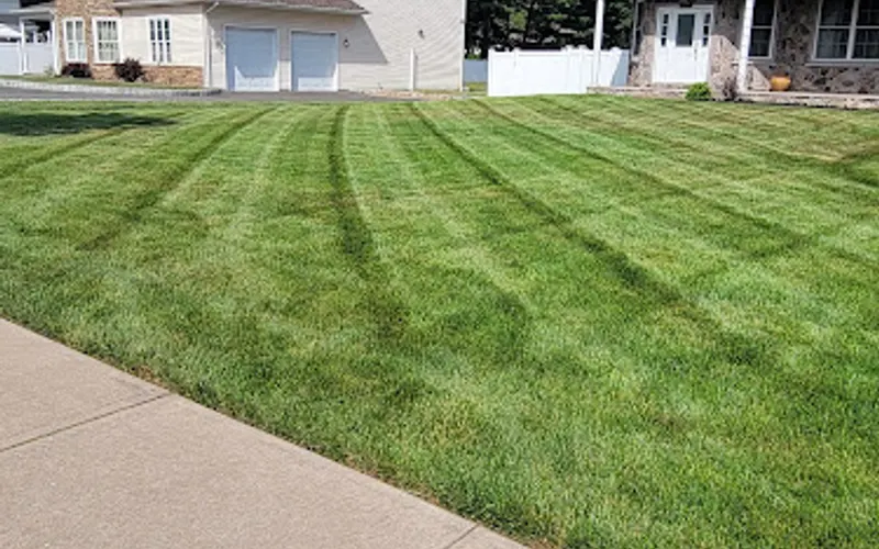 All green nature Landscaping & Lawn care LLC — Lawn care service