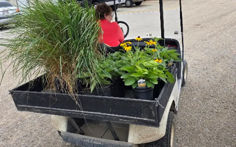 Siebenthaler's Beavercreek Garden Center — Garden center
