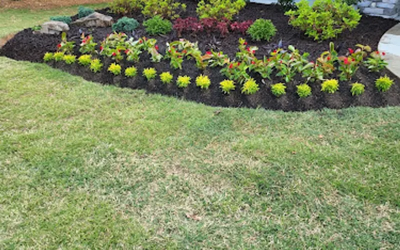 Kilpatricks Nursery and Landscaping — Plant nursery