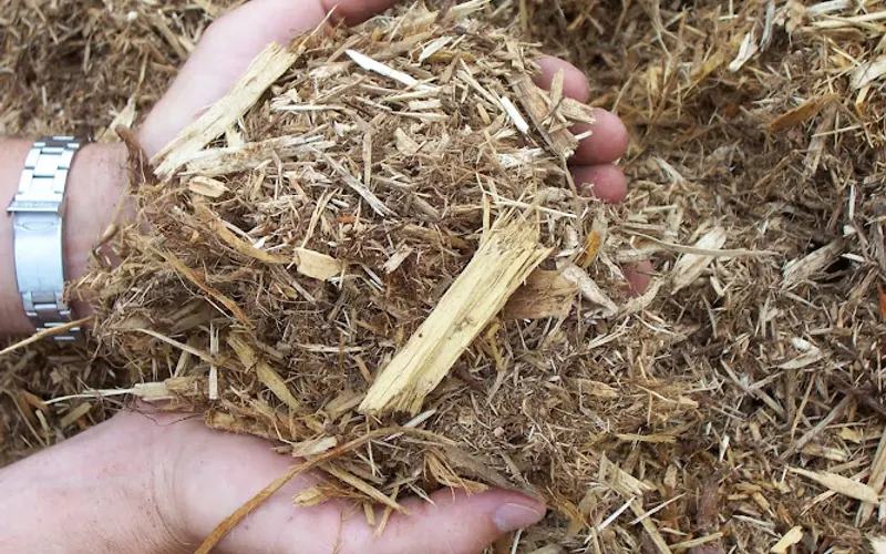 Greenleaf Landscape Supply — Topsoil supplier