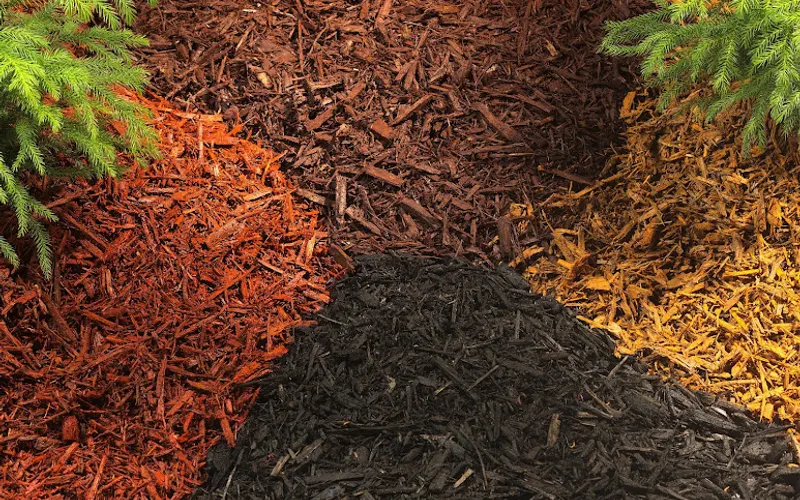 Ali's Nursery & Landscaping — Topsoil supplier