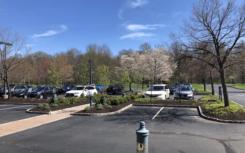 RGI Landscaping — Landscaper