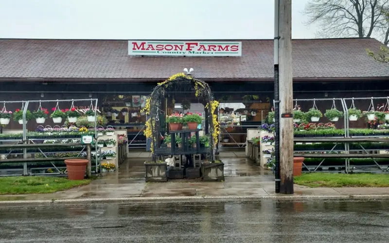 Mason Farms Country Market on Old French Road — Garden center