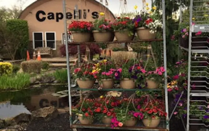 Capelli Farms LLC — Topsoil supplier