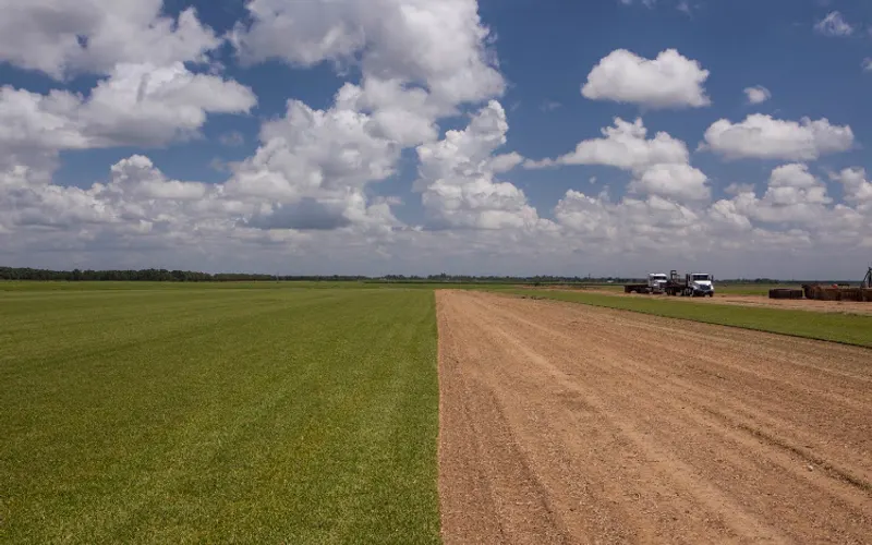 Woerner Companies — Sod supplier