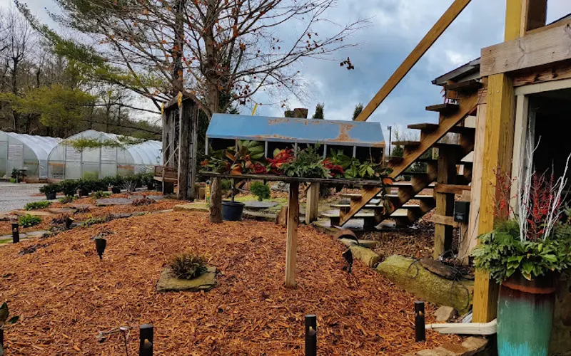 Creekside Gardens London KY — Plant nursery