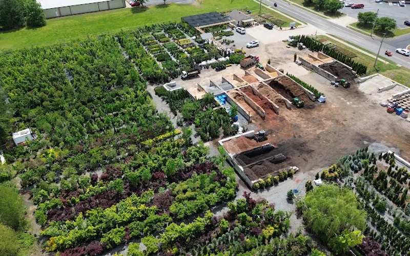 The Plant Outlet Shrub and Tree Lot — Landscaping supply store