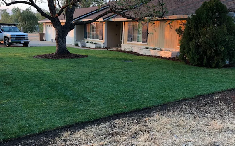 Redi-Green Sod Farm — Sod supplier