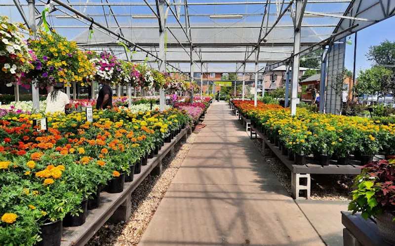Fasel & Sons Garden Center — Garden center