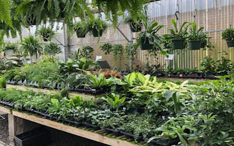 Seven Oaks Plant Shop — Landscaping supply store