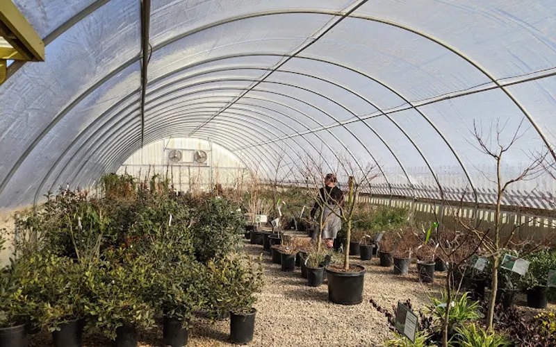 Earthworks Garden Center & Supply — Landscaping supply store