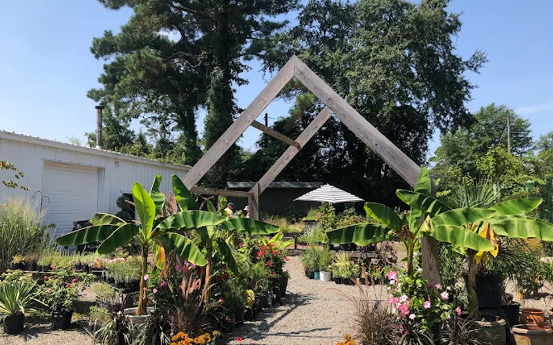 The Garden Shop on Moss — Garden center