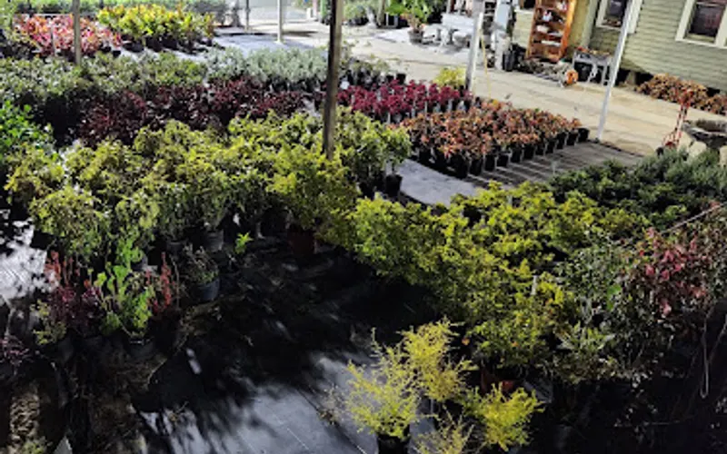More than Mulch — Topsoil supplier
