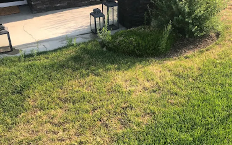 Land Effects Inc. — Landscape designer