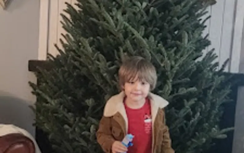 Work Lucas Tree Lot — Mulch supplier