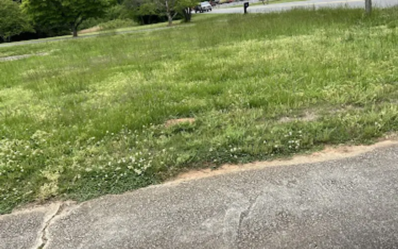 Little Ts Lawn Care LLC — Lawn care service