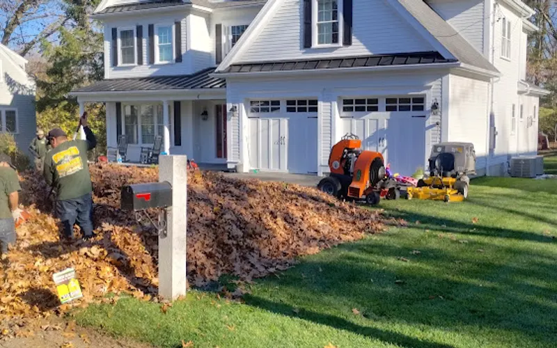Steve's Landscape Services Inc — Landscaper