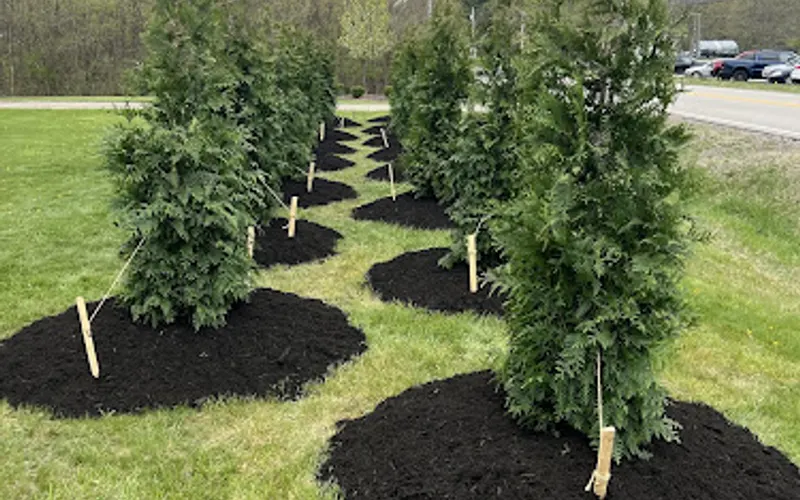 Virtuoso Landscaping Dba Akron Snowmen — Landscaper