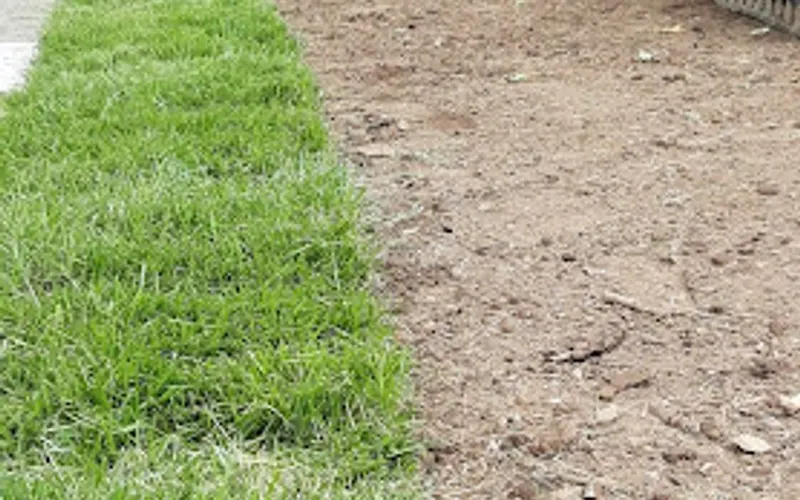 Ultimate Lawn & Landscape — Lawn care service
