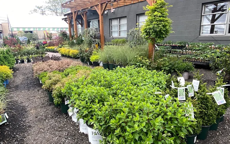 Shannon Landscape & Garden Center — Landscaping supply store