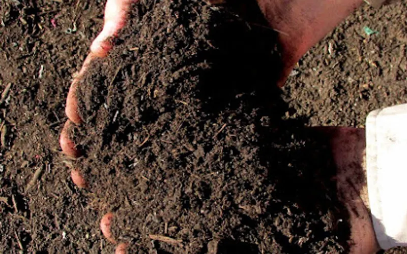 BIG OAK BUILDING MATERIALS, NATURAL STONE, AND LANDSCAPE SUPPLIES — Landscaping supply store