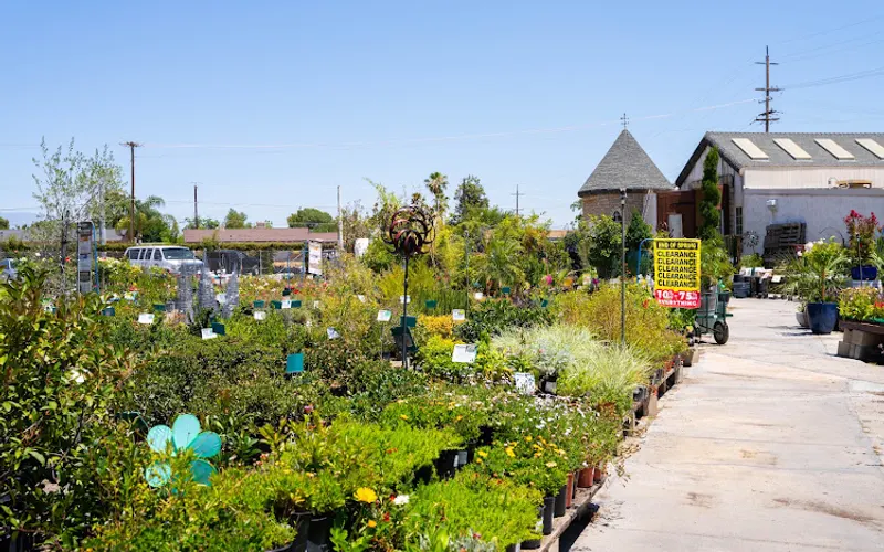 White Forest Nursery — Garden center