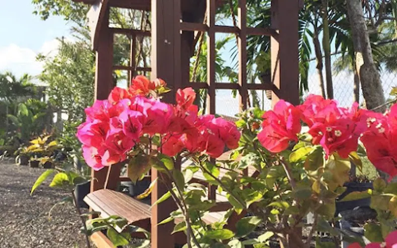Maytee's Garden Center — Centro de jardinería