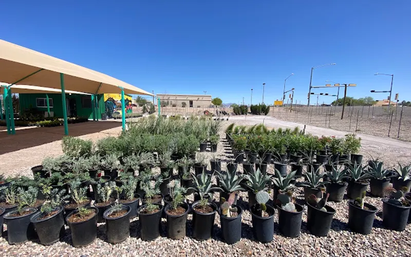 Xerocole Garden Center — Greenhouse
